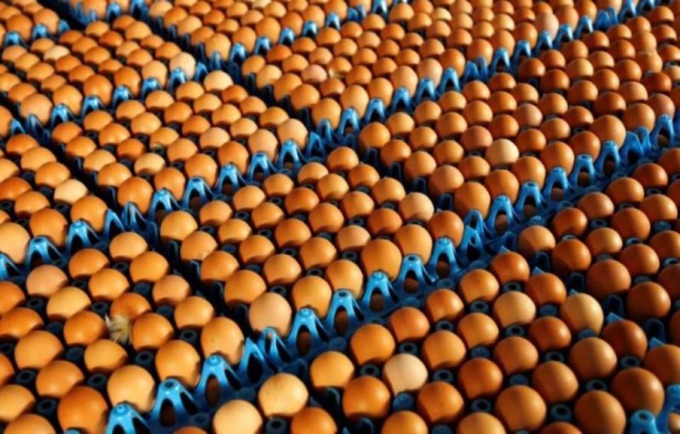blocked from importing eggs from Malaysia after failing licensing requirement