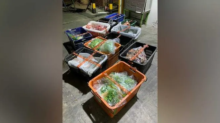 Company fined for illegally importing fresh vegetables, processed food from Malaysia