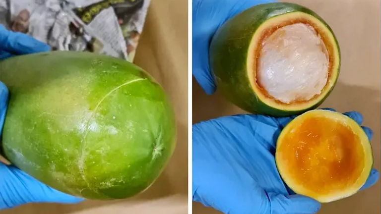 Drugs hidden in papaya seized, eight arrested in CNB operation