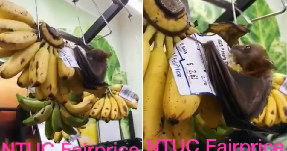Singapore fairprice bat banana