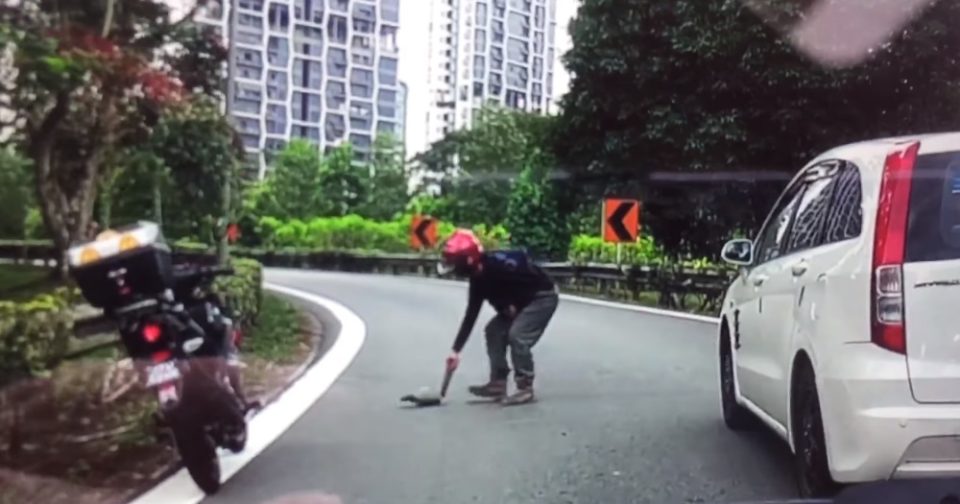 Motorcyclist help tortoise cross road