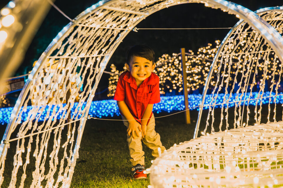 Gardens by the Bay Christmas Wonderland 2022 back from Dec. 2 to Jan. 1, 2023