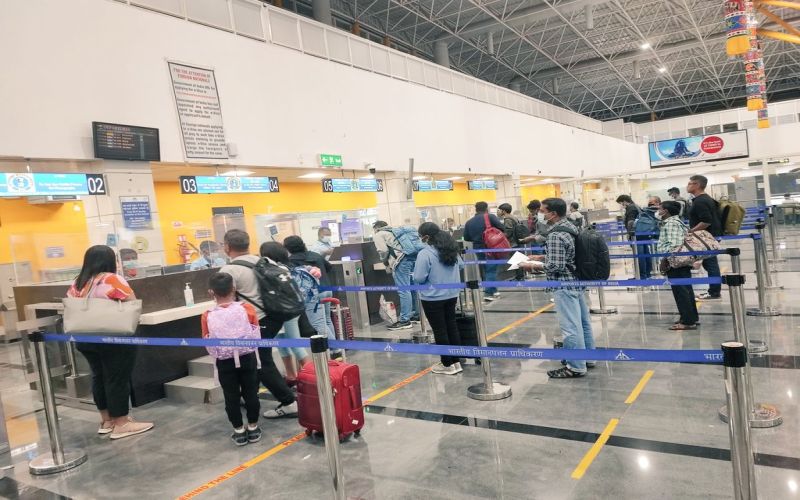 NParks investigating alleged smuggling singapore to tamilnadu