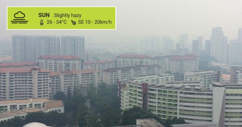Hazy conditions spore