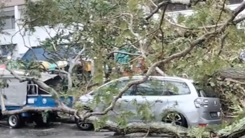 little-india tree-collapsed lorry