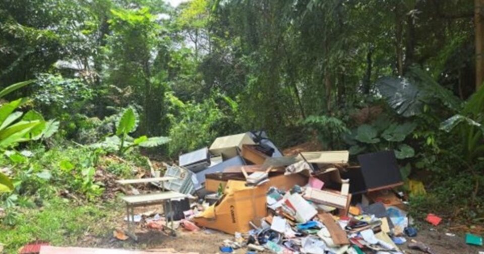 illegal-dumping company supervisor fined